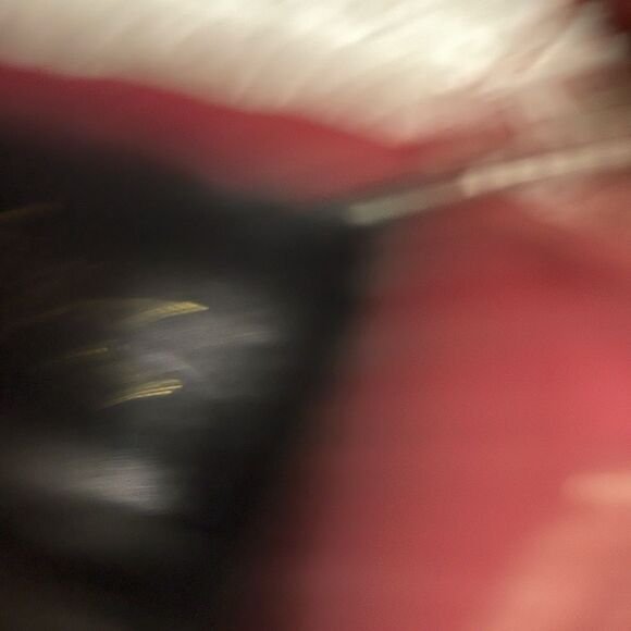 Giuseppe Zanotti Burgundy red Sneakers Low Top Double Zipper Size EU 41 US8 - Picture 10 of 12